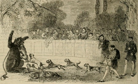 Elizabethan bear-baiting. From Cassell History of England, Vol. 2.